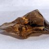 Andara, Lemurian Etherium Gold, Gem Quality, Monatomic, Mt Shasta, USA, 69.4g