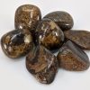 Bronzite