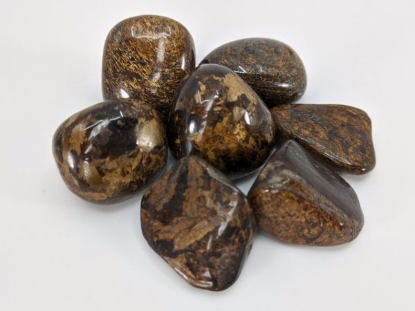 Bronzite
