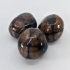 Chiastolite