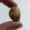 Rutilated Quartz