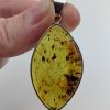 Green Amber Pendant