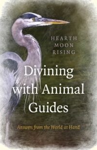 divining with animal guides