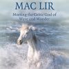 Pagan Portal Manannan Mac Lir