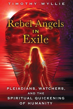 Rebel Angel In Exile