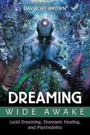 DREAMING WIDE AWAKE