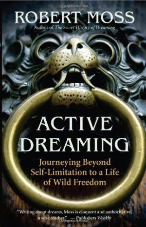 Active Dreaming