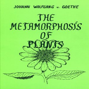 METAMORPHOSIS OF PLANTS