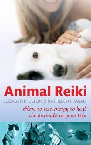 Animal Reiki- How to use energy to heal the animals in your life