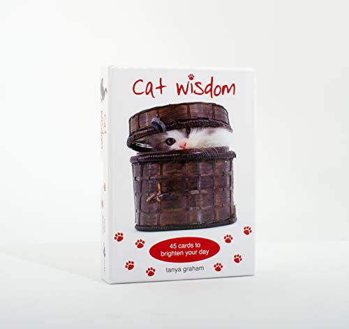 CAT WISDOM