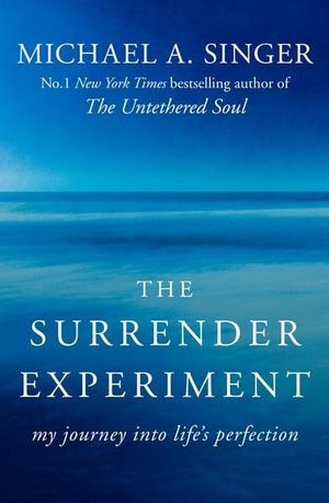 The Surrender Experiment - My Journey into Life's Perfection