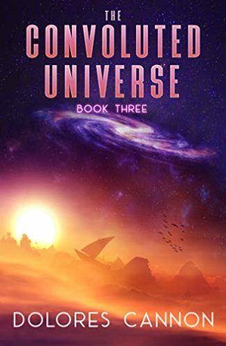 THE CONVOLUTED UNIVERSE BOOK 3