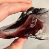 Andara, Sovereign Amethyst, Cosmic Ice, Forte Veritas, Monatomic, Mt Shasta, USA, 91g