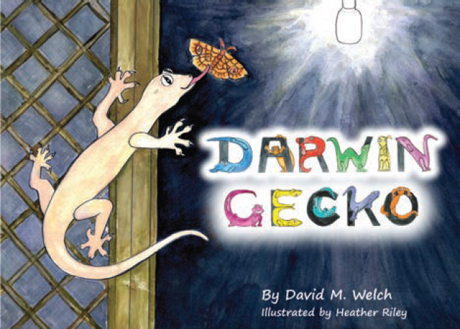DARWIN GECKO