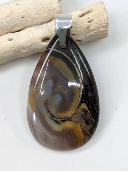 Colus Fossil Pendant