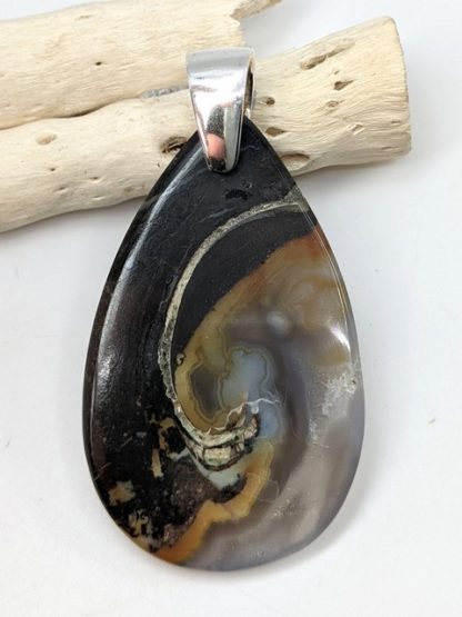 Colus Fossil Pendant
