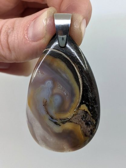 Colus Fossil Pendant