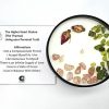Chakra Candle: Higher Heart / Thymus Chakra: Living Your Personal Truth. Rose Peony, 100% Soy Wax Candle.