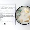 Elemental Magic Candle: Water: Peace, Healing, Empathy. Seashore, 100% Soy Wax Candle.
