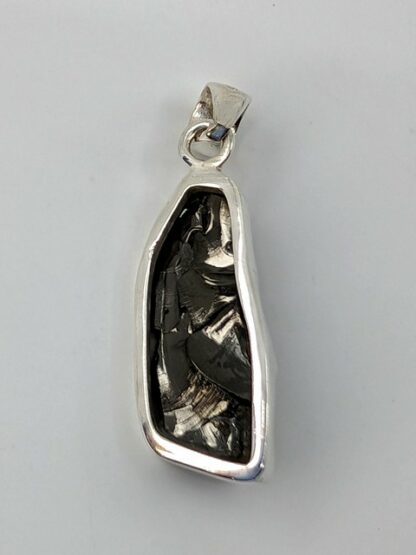 Shungite Pendant