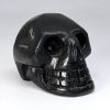 Crystal Skull, Shungite
