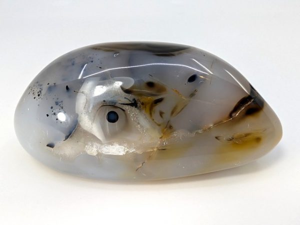 Dendritic Agate Freeform dena-002