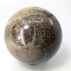 Fossilised Dinosaur Bone Ball dino-002