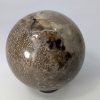 Fossilised Dinosaur Bone Ball dino-002