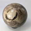 Fossilised Dinosaur Bone Ball dino-002