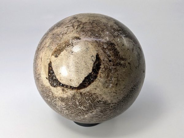 Fossilised Dinosaur Bone Ball dino-002