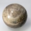 Fossilised Dinosaur Bone Ball dino-002