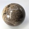 Fossilised Dinosaur Bone Ball dino-002