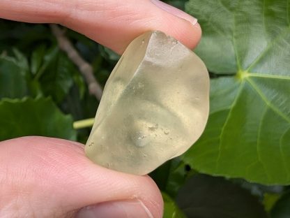 LIBY-004 Libyan Desert Glass (Libyan Gold Tektite)