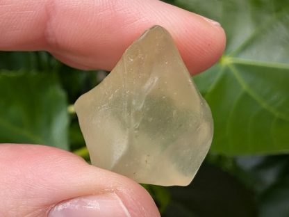 LIBY-005 Libyan Desert Glass (Libyan Gold Tektite)