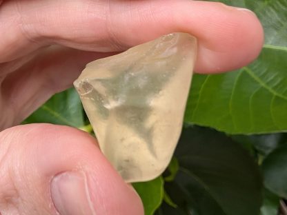 LIBY-005 Libyan Desert Glass (Libyan Gold Tektite)