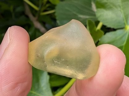 LIBY-006 Libyan Desert Glass (Libyan Gold Tektite)