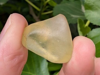 LIBY-006 Libyan Desert Glass (Libyan Gold Tektite)