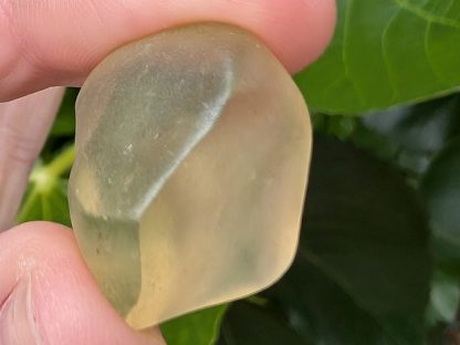 LIBY-006 Libyan Desert Glass (Libyan Gold Tektite)
