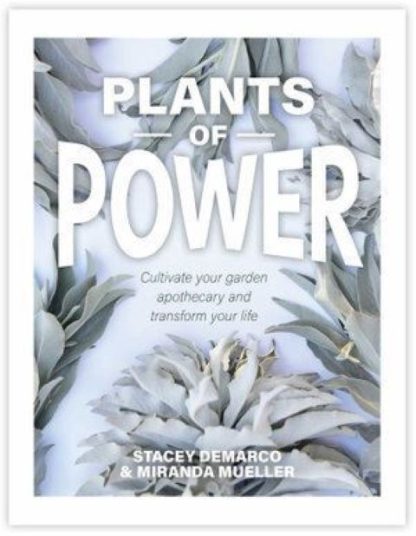 Plants of Power Cultivate Your Garden Apothecary and Transform your Life