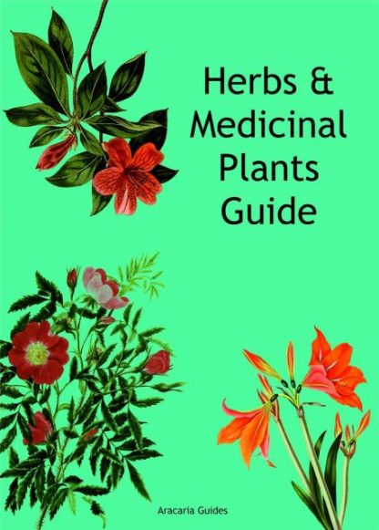 Fold-Out-Chart- Herbs & Medicinal Plants Guide