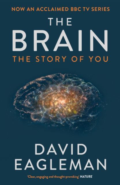 The Brain The Story of You