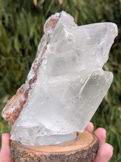 SELE-001 Selenite, Clear, Naica Mine, Chihuahua, Mexico