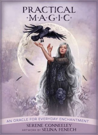 PRACTICAL MAGIC (DELUXE)
